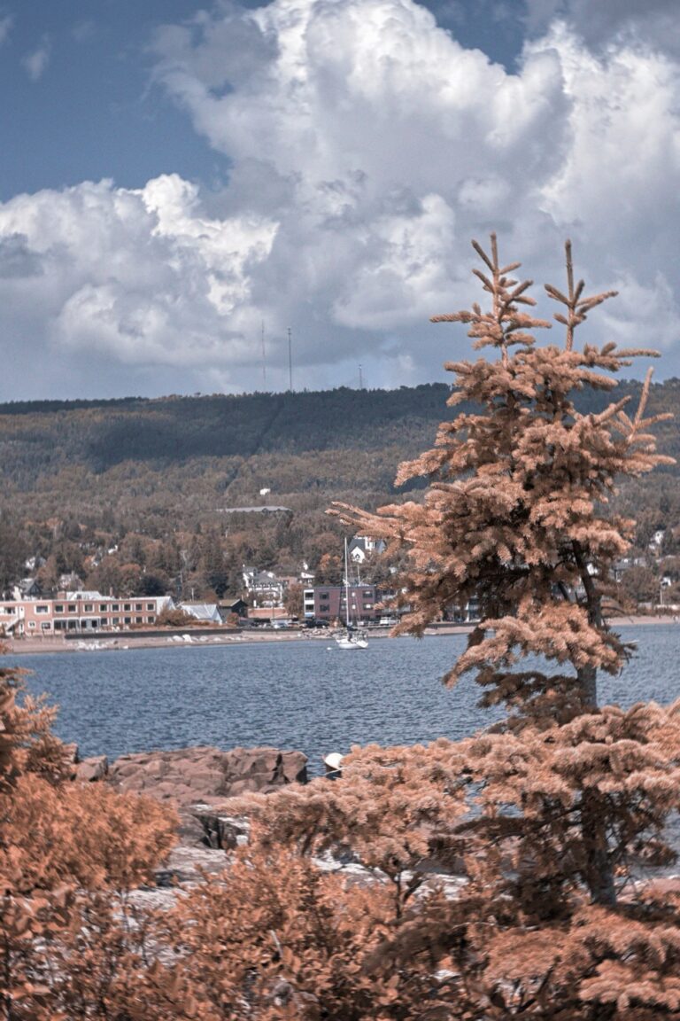 East Bay.