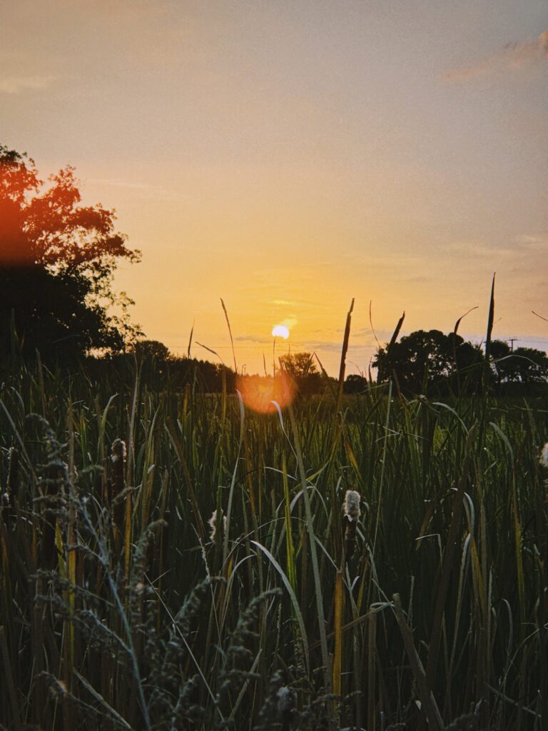 Good Morning.