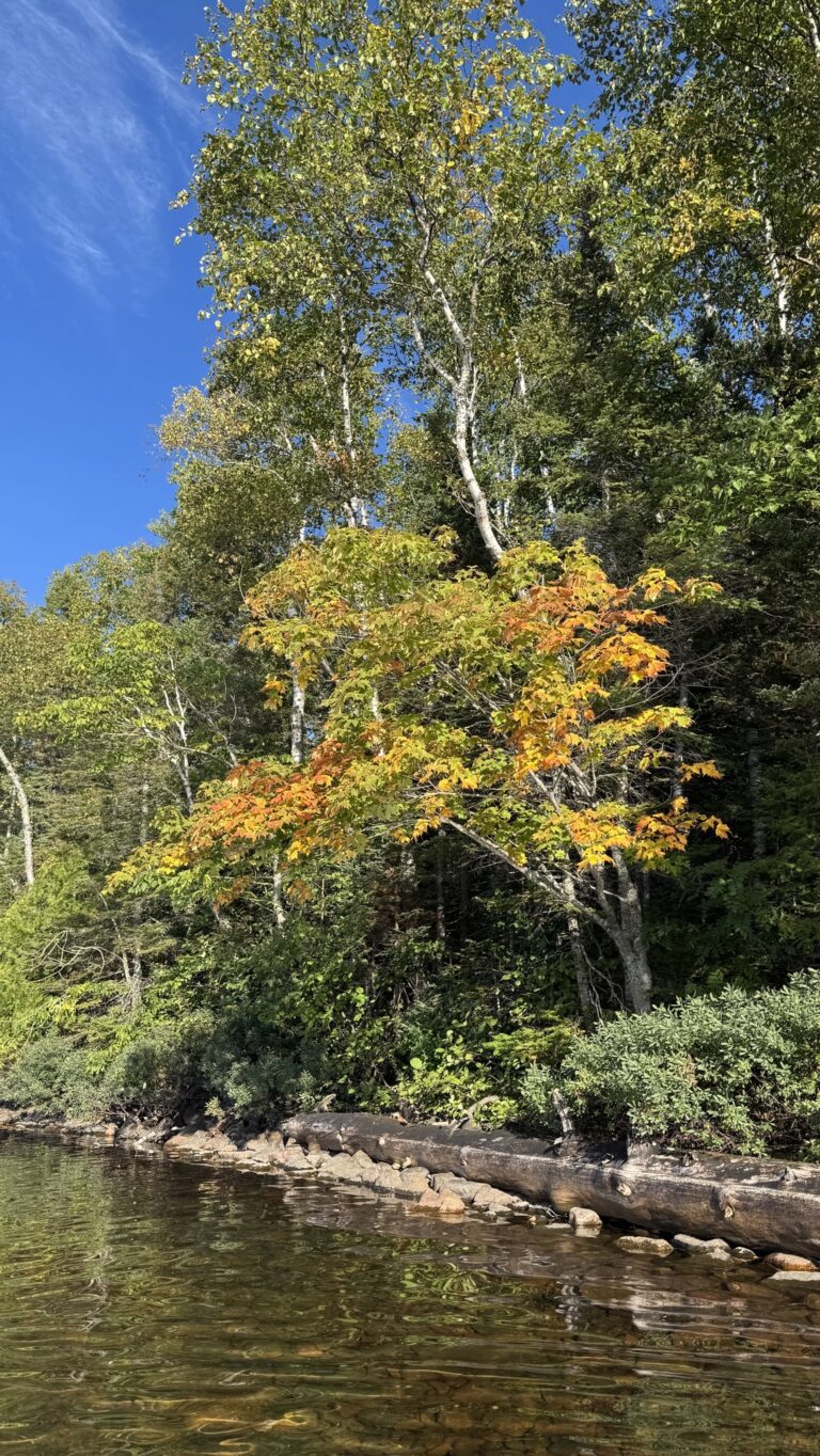 Early Fall.