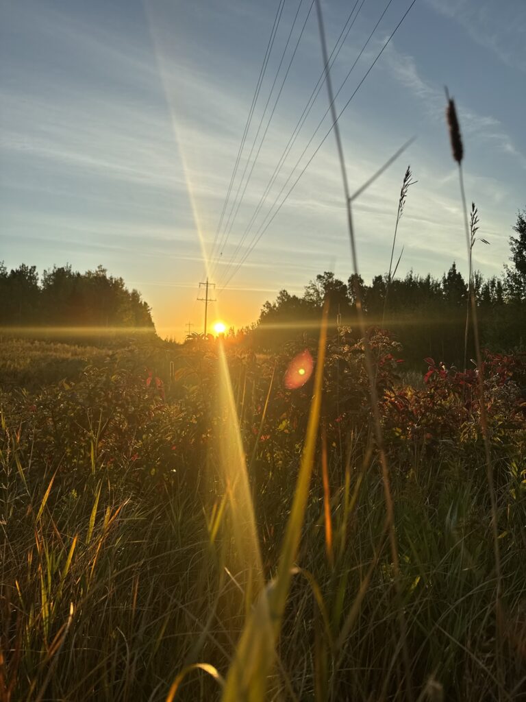 Good morning.